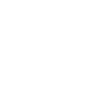 Logo EVZ Foundation 